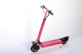 Electric Balance Scooter