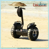 Fast Delivery Hot Sale 2 Wheel Self Balancing Personal Transporter, Electric Mobility Scooter