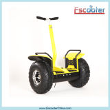 Hot Sale Personal Mobility Transporte, Electric Mobility Scooter