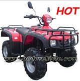 250CC ATV, Quad (MC-363)