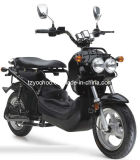 Electric Scooter (YH10)