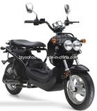 Electric Scooter (YH10)