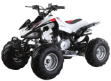 110CC ATV (GBTA24-110)