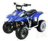 Kid ATV / Quad Bike (Quad-70CC-1)