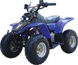 50cc QUAD/ATV with CE (FST-50-A)