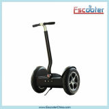 Special Design New Electric Trike Scooter