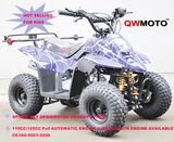 50CC 110CC Mini ATV for Kids CE