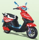 600W, 800W, 1000W Electric Scooter