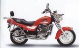Motorcycle JL250