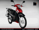 Electric Motorcycle (TDM-06Z)