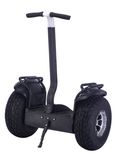 F2s 2 Wheel Electric Scooter for off-Road