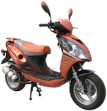 EEC/COC Approval Scooter (50/125/150cc)