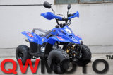 50CC/70CC/90CC/110CC ATV Quad (QWATV-01)