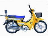 Motorcycle (CTM110-8)