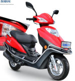 Sanyou Holding Group 125cc-150cc Asia Market Scooter Ygz