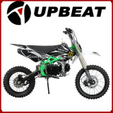 Upbeat Hot 125cc Dirt Bike Pit Bike for Sale Cheap