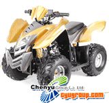 ATV (CY110ST-6-110CC)