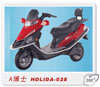 Electric Scooter (S-009)