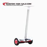 2 Wheel Self Balancing Electric Scooter / New Big Power Electric Chariot Es3511 for Sale