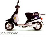 XDZ50QT-P Bee Bird Motorcycle