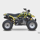 All Terrain Vehicle (JN125W)