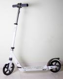Cheap Cool Sports Scooter (SC-021)