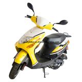 50cc Gas Scooter (JL50QT-13D)