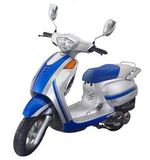 50cc 125cc EEC Street Drive Light Scooter (HDM50/125E-2E)