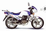 Motorcycle JL150-8B