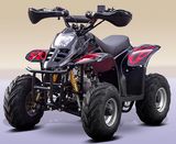 ATV 110CC