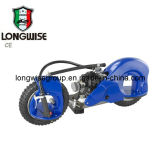 49cc Gwheel Gasoline Scooter Lwgs-034