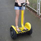 Fashionable Electric Golf Scooter for Sale