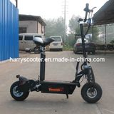 500W Mini Electric Scooter with 36V (CS-E8002)