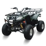 110 Cc ATV (ZC-ATV-10) Hot Sell