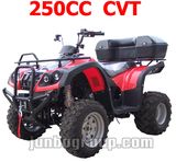 New Quad Bike CE ATV EEC Quad 250cc With CVT Full Automatic (DR780)