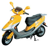 Electric Scooter/Motorcycle/Bike (SR-EM01)