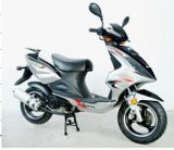 EEC Gas Scooters (RY50QT-12D)