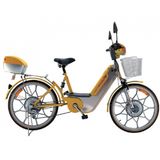 Electric Bike