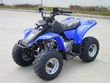 Kids/Sport /50cc ATV (TS-ATV50-4)