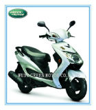 125cc/50cc Scooter, Gas Scooter, Motor Scooter (GM125T-7C)