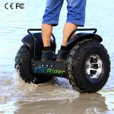 Two Wheel Self Balancing Electric Scooter Electric Chariot Motorcycle