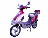 E-Bike (ES-EB-1)