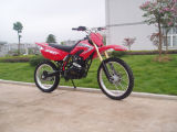 Dirt Bike (SJDK-C49H)