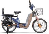 Electric Scooter (BL-ZZW)