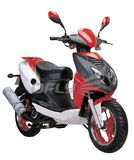 50CC Motor Scooter (MS0507EPA)