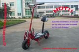 800w Electric Scooter (SX-E1013-800)