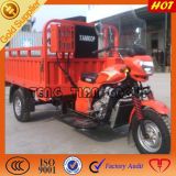 Gasoline Cargo Tricycle/Three Wheel Motorcycle