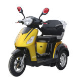 New Electric Moped, E-Scooter, Electric Scooter, Electric Mobility Scooter