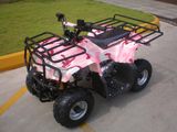 110CC ATV (KWS11-Q110)