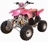 EPA 110CC ATV, Quad (110cc-24)